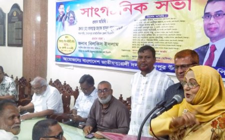 বর্তমান সরকারের সাফল্যের কথা জনগনের কাছে পৌঁছে দিতে হবে : বিলকিস ইসলাম এমপি