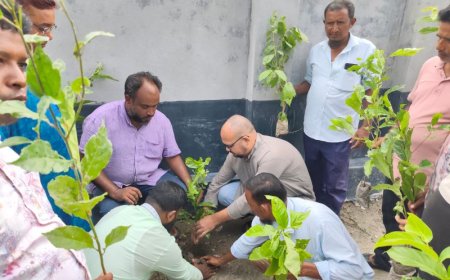 সৈয়দপুরে কৃষক দলের বৃক্ষরোপণ কর্মসূচি