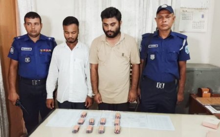 সৈয়দপুরে ১ হাজার পিস ট্যাপেন্টাডল উদ্ধার : দুই মাদক ব্যবসায়ী গ্রেফতার
