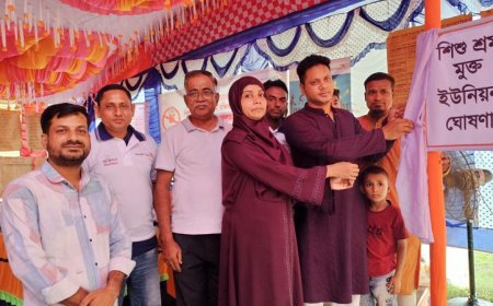নওয়াপাড়া ইউনিয়নকে শিশুশ্রমমুক্ত ও শিক্ষা থেকে বঞ্চিতমুক্ত ইউনিয়ন ঘোষণা