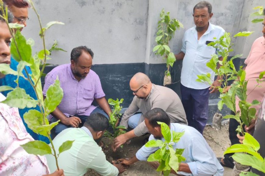 সৈয়দপুরে কৃষক দলের বৃক্ষরোপণ কর্মসূচি