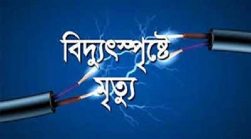 সাতক্ষীরার কালিগঞ্জে বিদ্যুৎস্পৃষ্টে বৃদ্ধের মৃত্যু