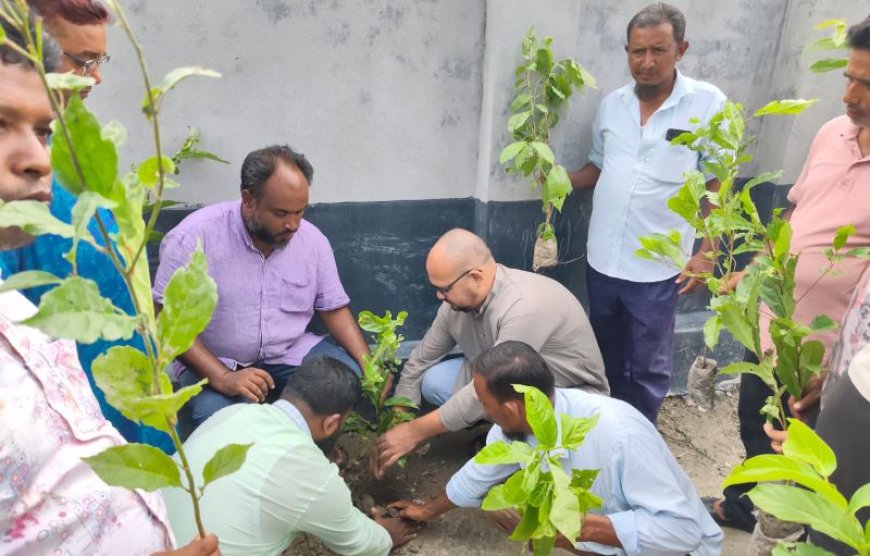 সৈয়দপুরে কৃষক দলের বৃক্ষরোপণ কর্মসূচি