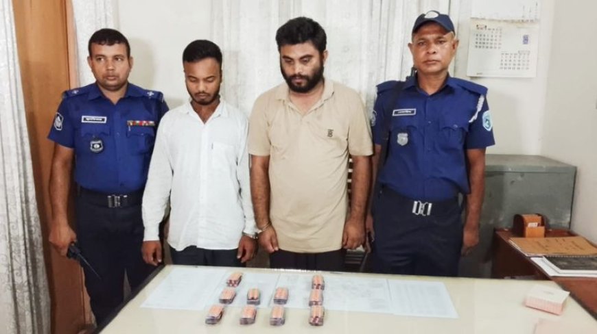 সৈয়দপুরে ১ হাজার পিস ট্যাপেন্টাডল উদ্ধার : দুই মাদক ব্যবসায়ী গ্রেফতার