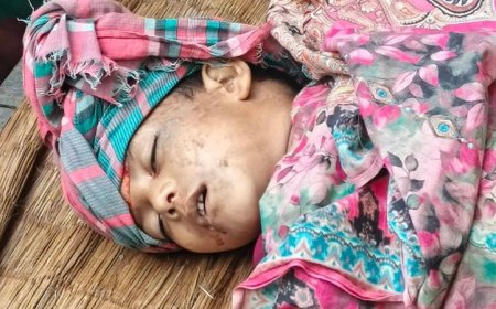 কালিগঞ্জে সড়ক দুর্ঘটনায় মা আহত, শিশুপুত্র নিহত