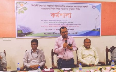 উৎপাদনের চাকা সচল রাখতে সৌর বিদ্যুতের ব্যবহার বাড়াতে হবে: বিসিক চেয়ারম্যান