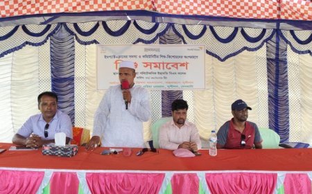 দেবহাটায় ইমপ্যাক্ট প্লাস ক্লাবের শিশু সমাবেশ  