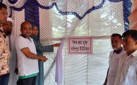 দেবহাটায় সখিপুরসহ ৫ ইউনিয়ন শিশুশ্রমমুক্ত ঘোষণা