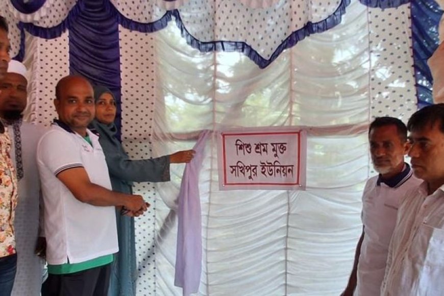 দেবহাটায় সখিপুরসহ ৫ ইউনিয়ন শিশুশ্রমমুক্ত ঘোষণা