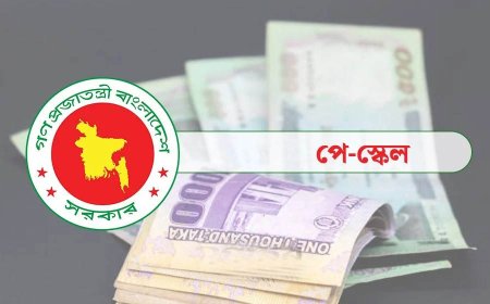 নতুন পে-স্কেলের প্রজ্ঞাপন জারি