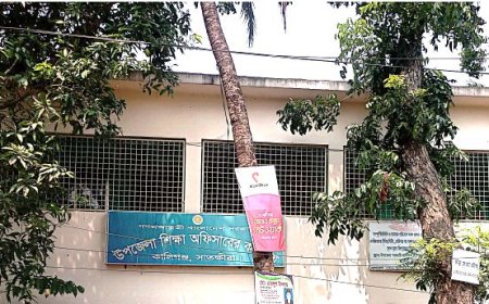 কালিগঞ্জের ১৩৮ প্রাথমিক বিদ্যালয়ের ৯৮ টিতেই নেই প্রধান শিক্ষক  