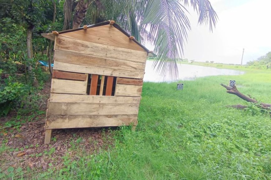 দেবহাটা জমি নিয়ে বিরোধ, ন্যায়বিচার চান জমির মালিক আব্দুস সামাদ   