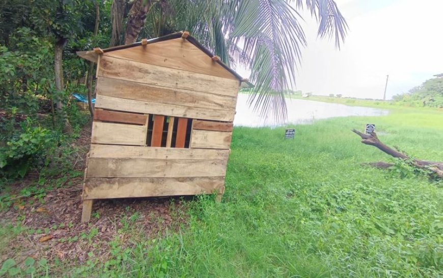 দেবহাটা জমি নিয়ে বিরোধ, ন্যায়বিচার চান জমির মালিক আব্দুস সামাদ   