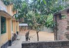 কালিগঞ্জে মসজিদের জমি নিয়ে বিরোধ, কমিটির দাবি-জমি দখলের চেষ্টা 