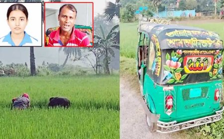 আদালতে তাজমিন হত্যার দায় স্বীকার সিএনজিচালক সুমনের