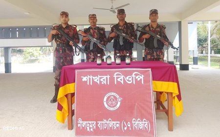 সাতক্ষীরায় ১৭ বিজিবির অভিযানে হেরোইন তৈরির কাঁচামাল আটক