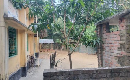 কালিগঞ্জে মসজিদের জমি নিয়ে বিরোধ, কমিটির দাবি-জমি দখলের চেষ্টা 