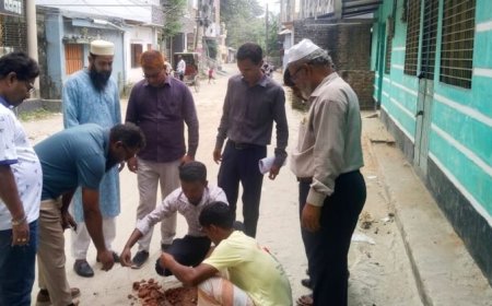 সৈয়দপুর পৌরসভার উন্নয়নকাজ পরিদর্শনে বিশ্বব্যাংকের প্রতিনিধি দল : কাজের মানে সন্তোষ প্রকাশ