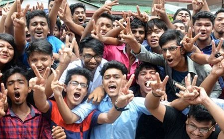 দেবহাটায় এইচএসসিতে পাসের হার ৪২.২৮ শতাংশ, জিপিএ-৫ পেয়েছে ৭ জন