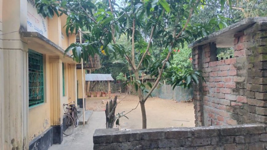 কালিগঞ্জে মসজিদের জমি নিয়ে বিরোধ, কমিটির দাবি-জমি দখলের চেষ্টা 